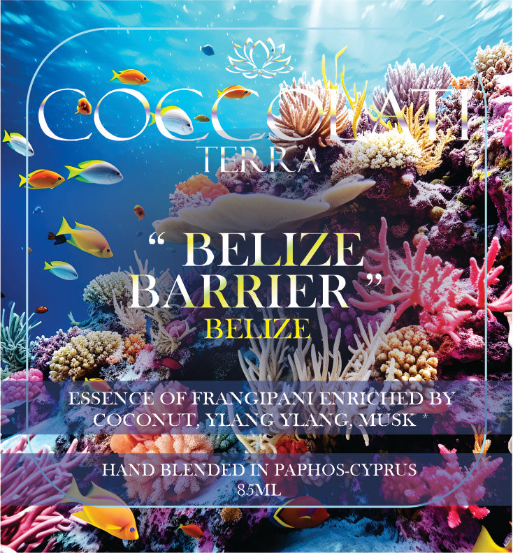 Reed Diffuser Refill Bottle Belize Barrier Belize