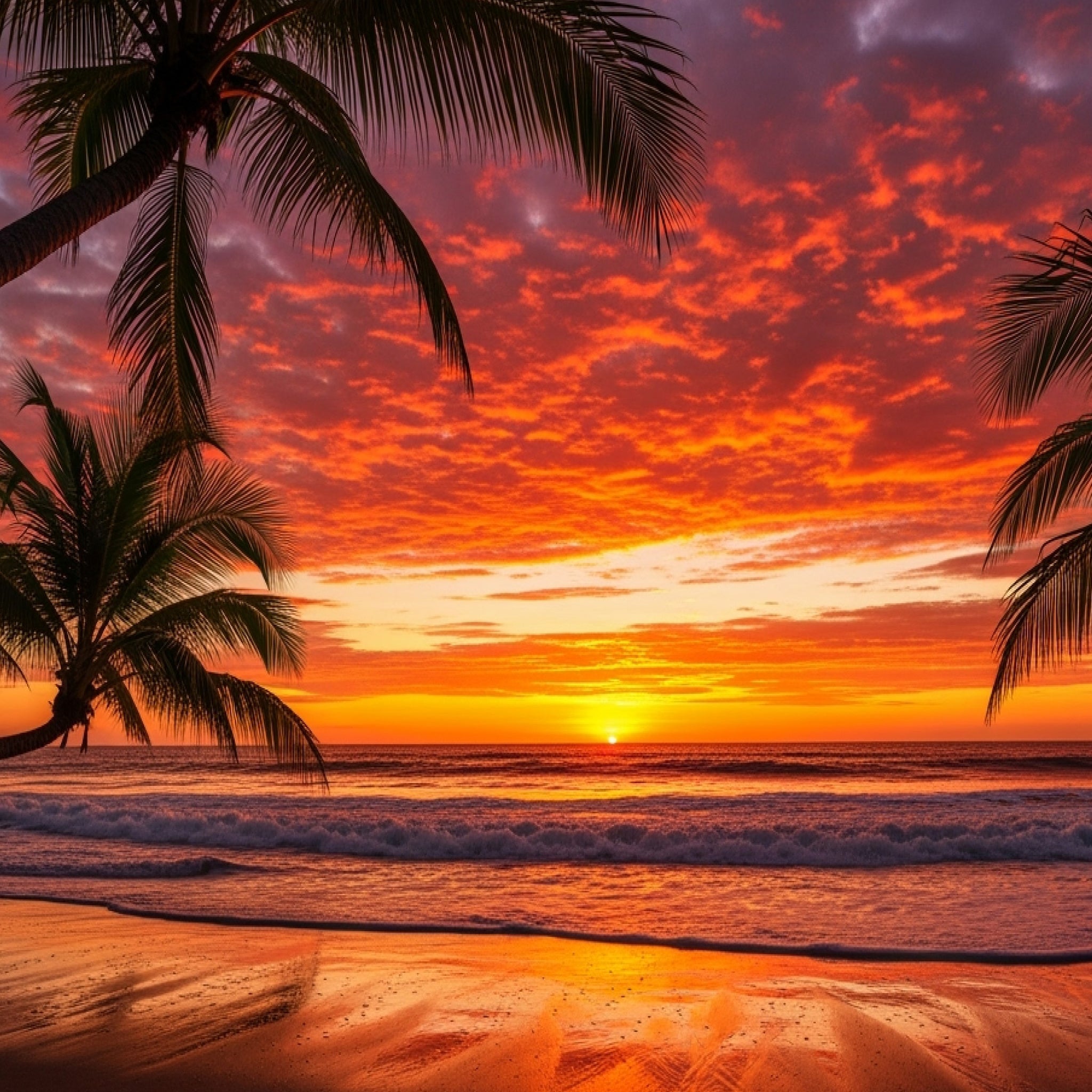 Infinite Shades of Sunset