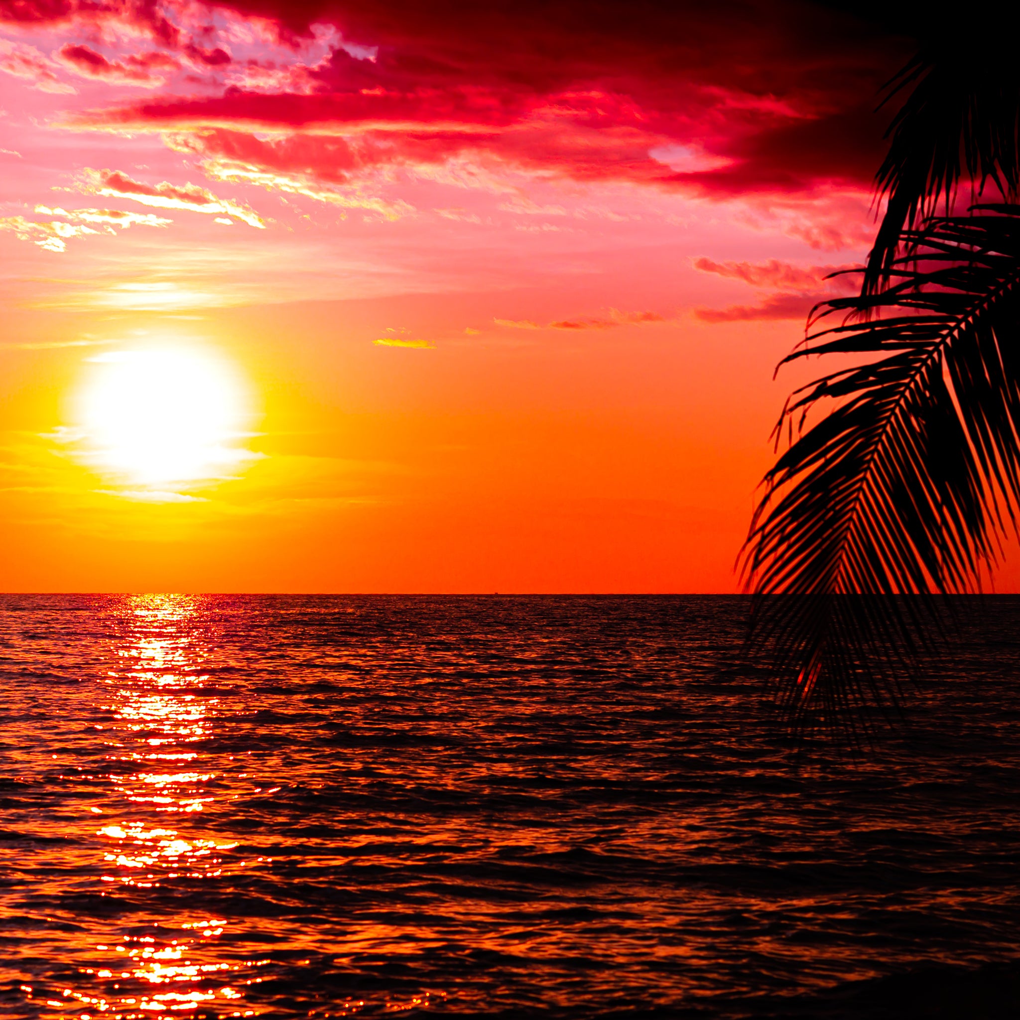 Infinite Shades of Sunset