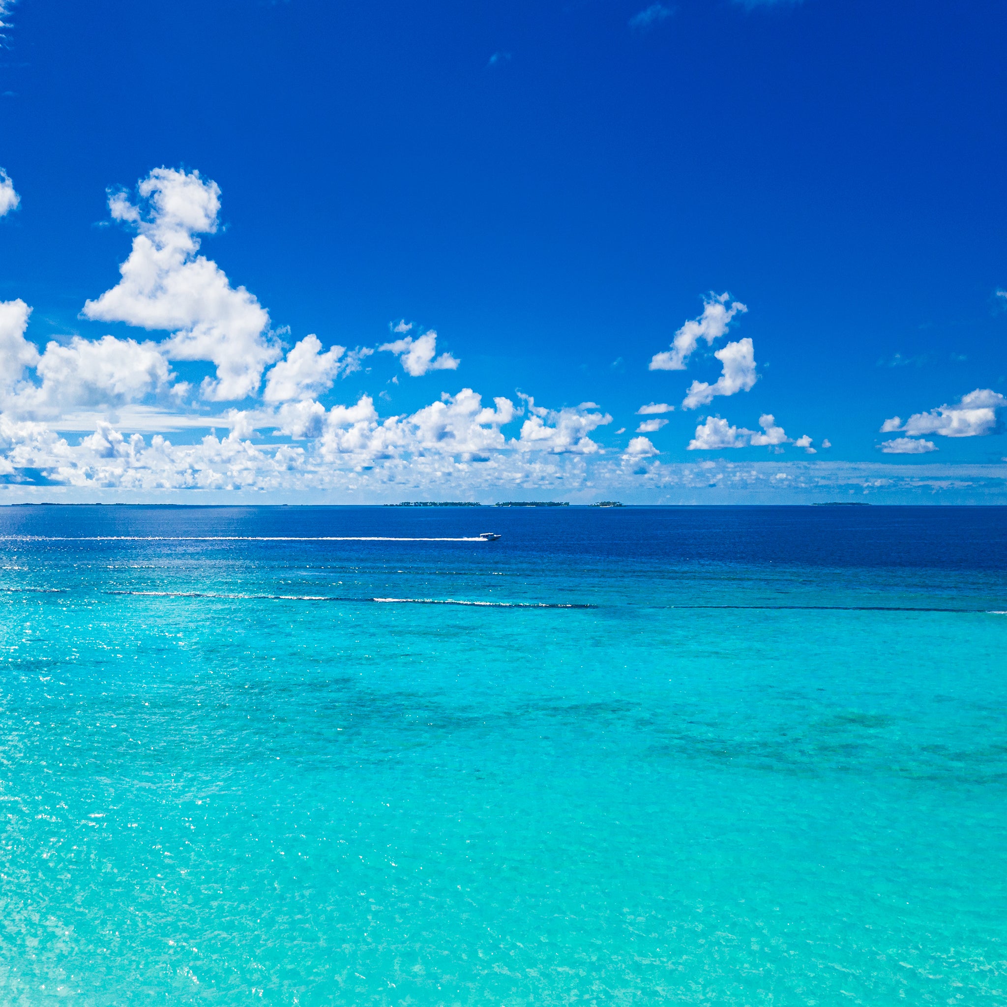 Ocean Treasure Hunting