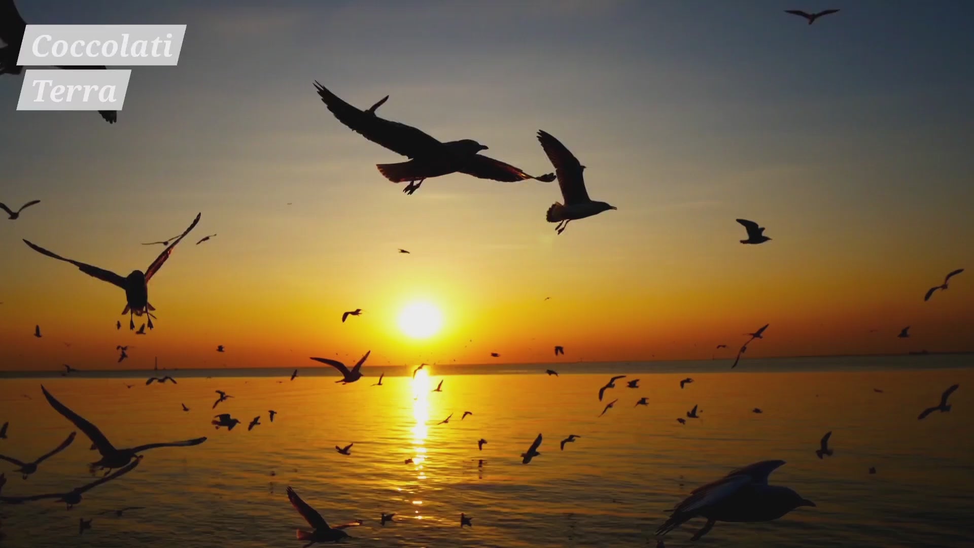 Infinite Shades of Sunset