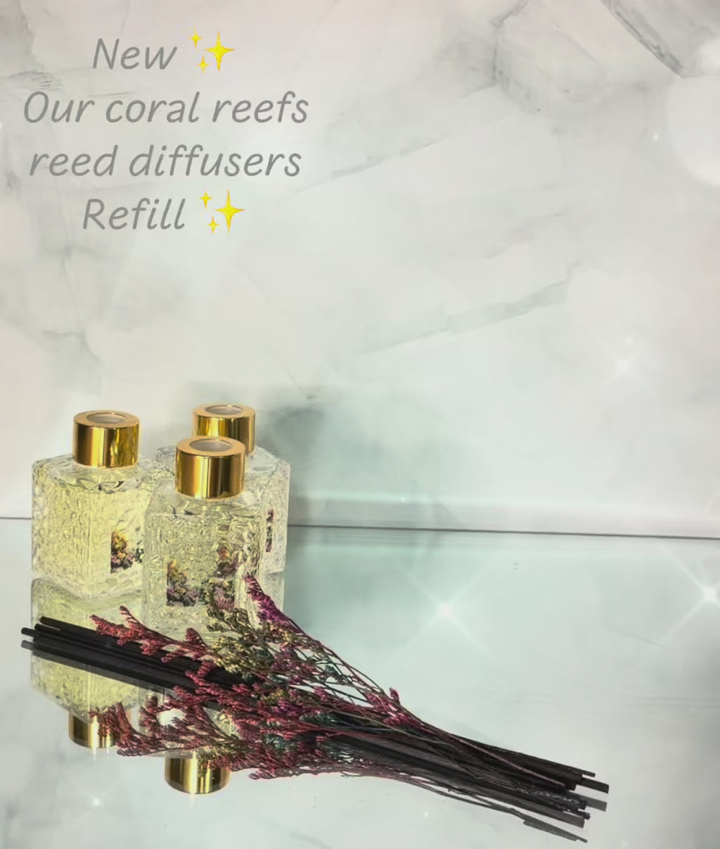 Reed Diffuser Refill Bottle Rea Sea Egypt